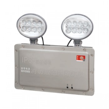 广东敏华电器有限公司_M6511 防水型双头灯自电集控IP65 M-ZFZC-E2W6511