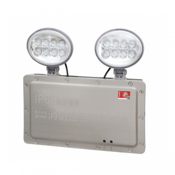 广东敏华电器有限公司_M6025 3W 集电集控防水型挂墙式双头灯M-ZFJC-E3W6025