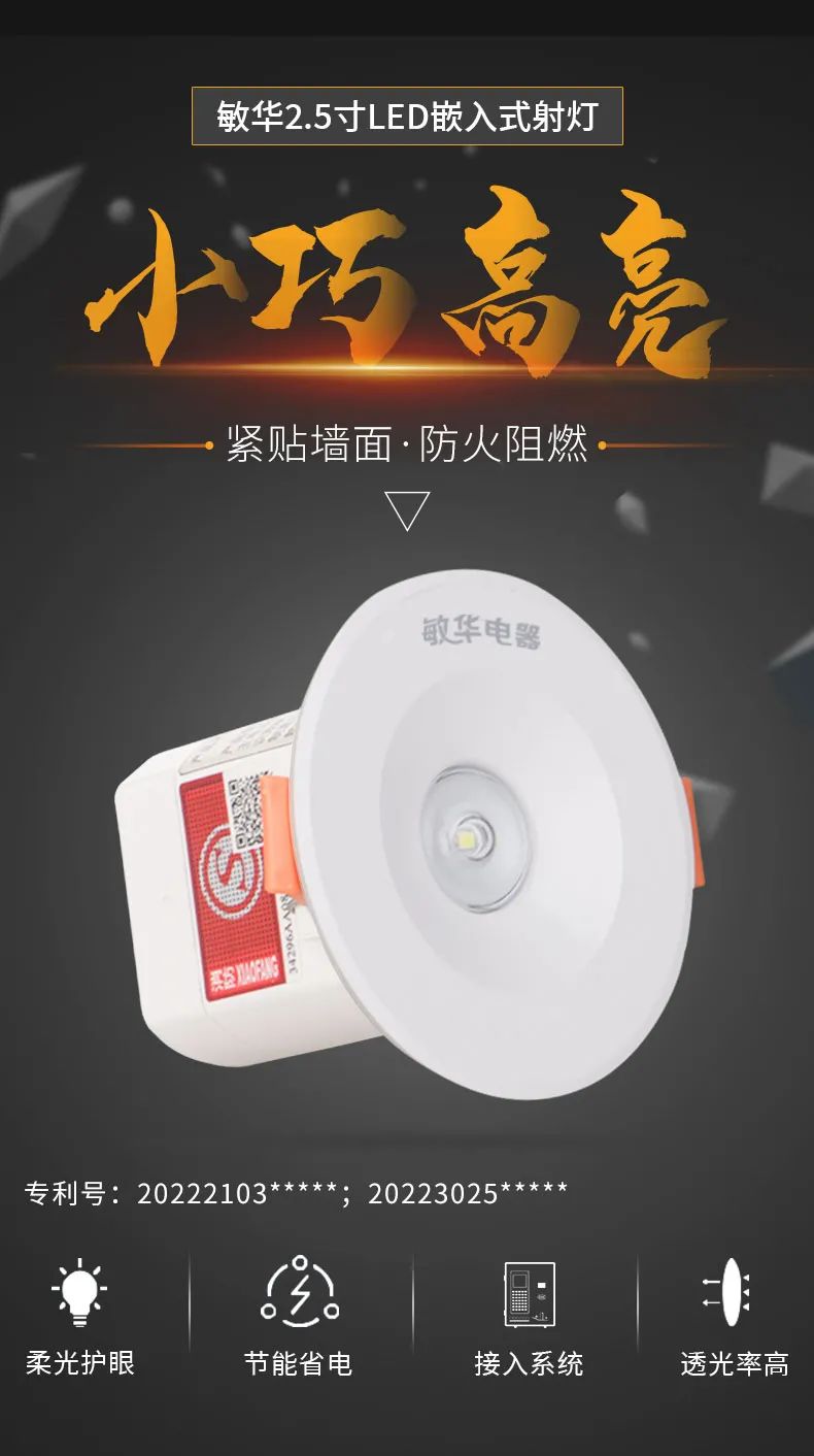 8领导关怀  蓬江区委书记劳茂昌一行到敏华调研.jpg