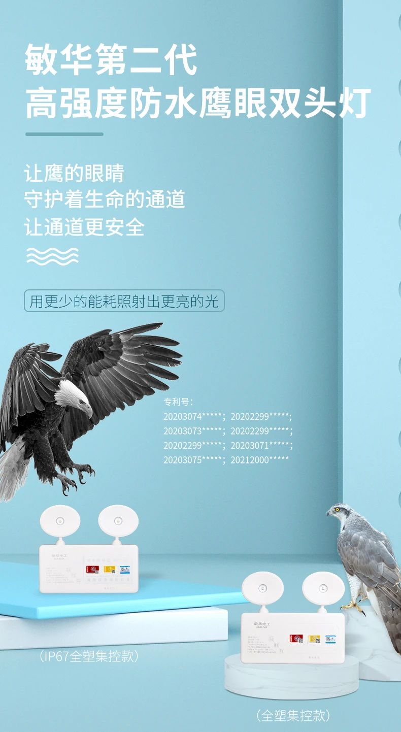 11敏华应邀出席消防产业及产品高质量发展研讨会！.jpg